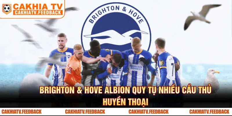 Brighton & Hove Albion quy tụ nhiều cầu thủ huyền thoại